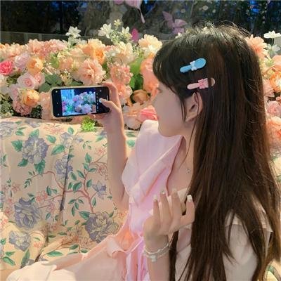 森林之北